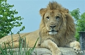 Kids_DZoo_Safari-I (110)